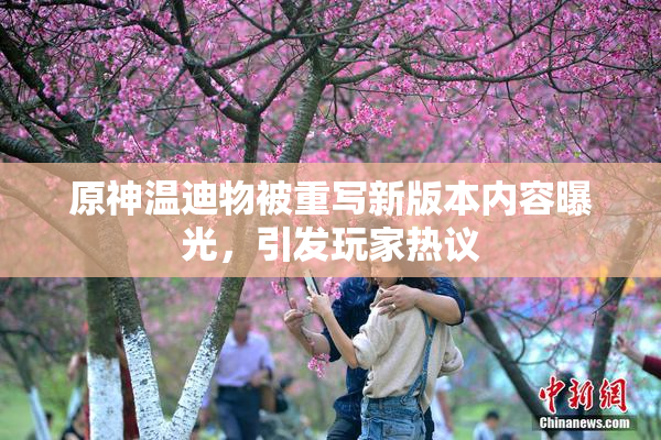 原神温迪物被重写新版本内容曝光，引发玩家热议