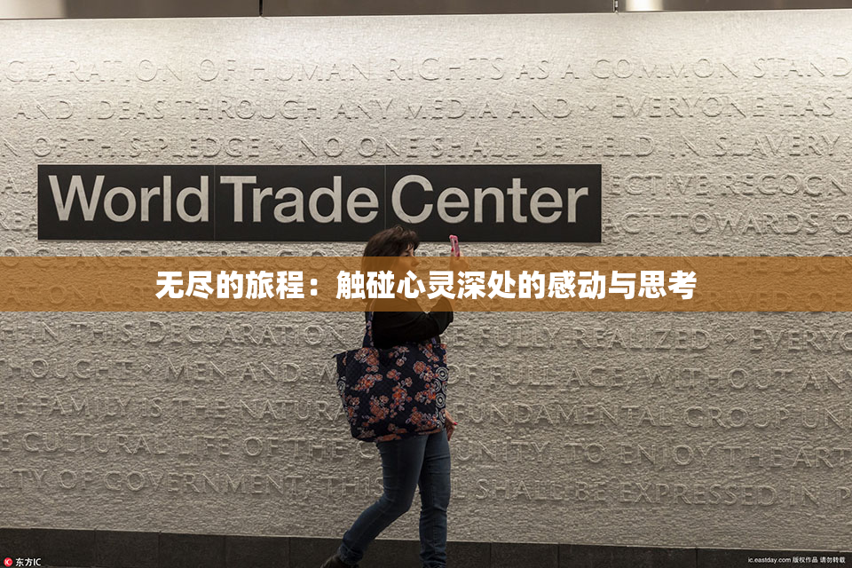 无尽的旅程：触碰心灵深处的感动与思考