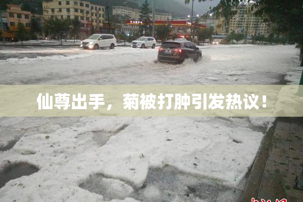 仙尊出手，菊被打肿引发热议！