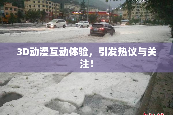 3D动漫互动体验，引发热议与关注！