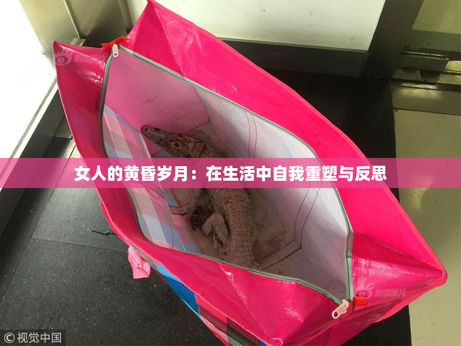 女人的黄昏岁月：在生活中自我重塑与反思
