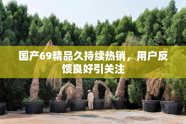国产69精品久持续热销，用户反馈良好引关注