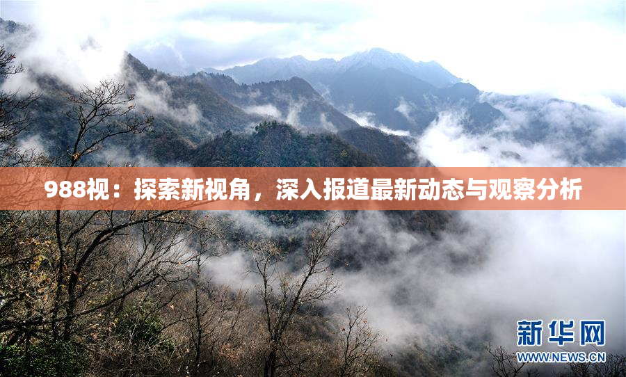988视：探索新视角，深入报道最新动态与观察分析