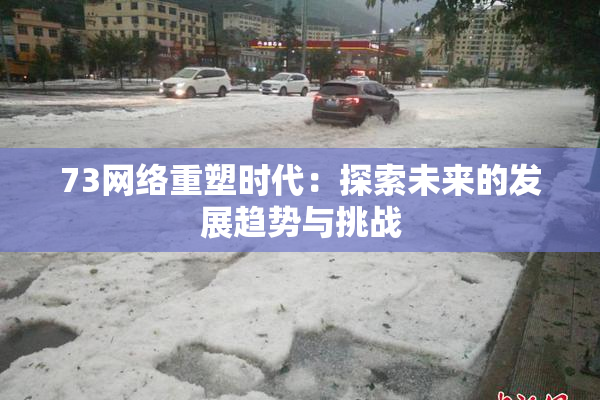 73网络重塑时代：探索未来的发展趋势与挑战