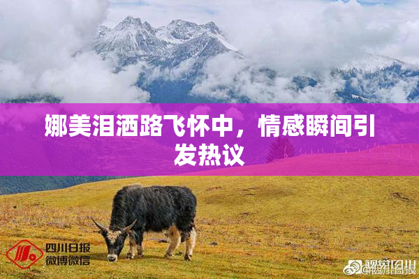 娜美泪洒路飞怀中，情感瞬间引发热议