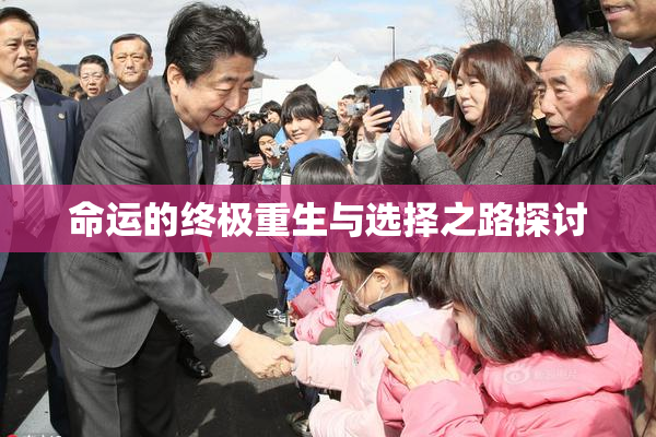 命运的终极重生与选择之路探讨