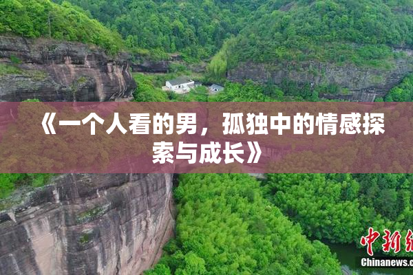 《一个人看的男，孤独中的情感探索与成长》