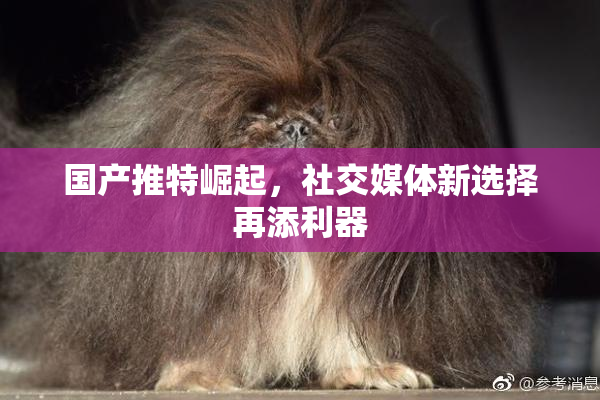 国产推特崛起，社交媒体新选择再添利器
