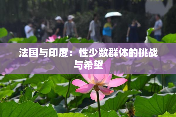 法国与印度：性少数群体的挑战与希望