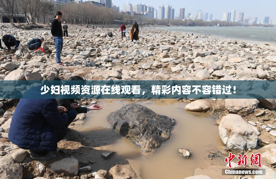 少妇视频资源在线观看，精彩内容不容错过！