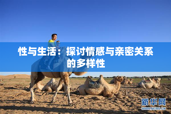 性与生活：探讨情感与亲密关系的多样性