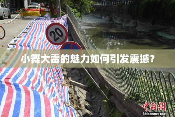 小舞大雷的魅力如何引发震撼？