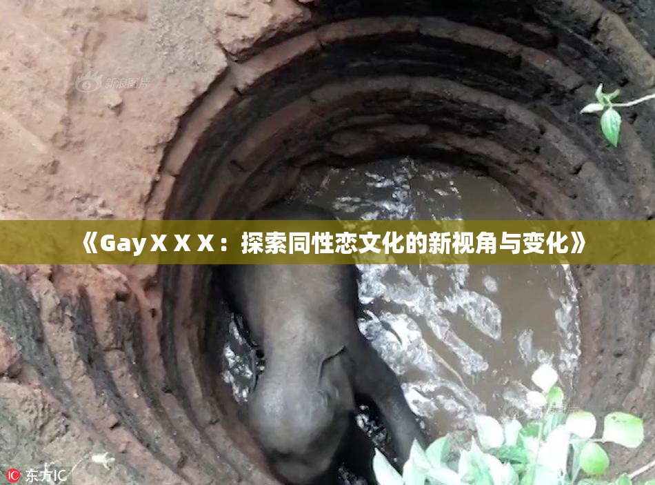 《GayⅩⅩⅩ：探索同性恋文化的新视角与变化》