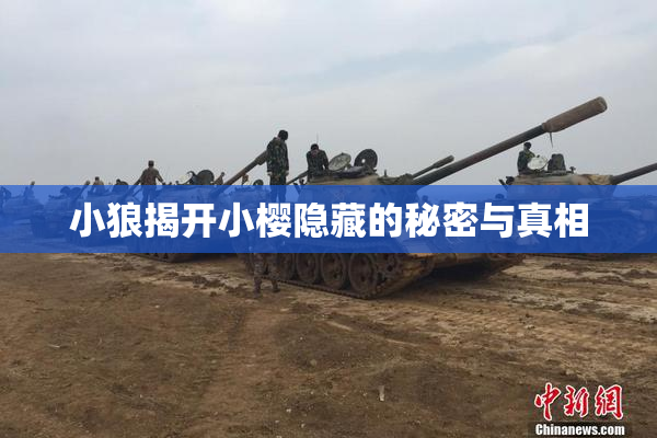 小狼揭开小樱隐藏的秘密与真相