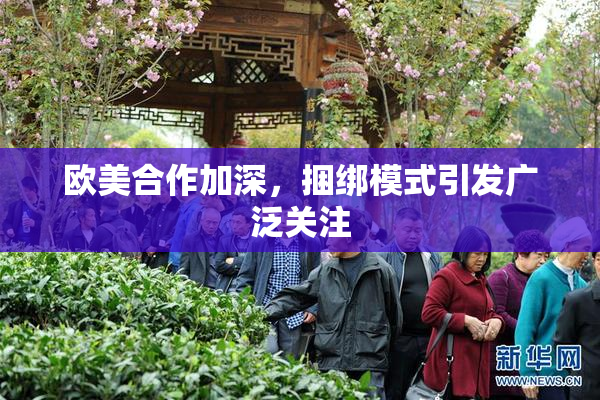 欧美合作加深，捆绑模式引发广泛关注