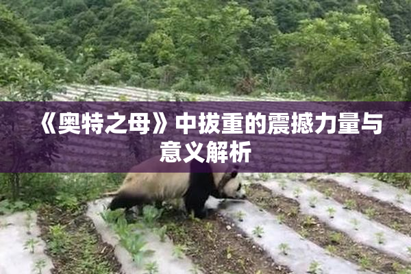 《奥特之母》中拔重的震撼力量与意义解析