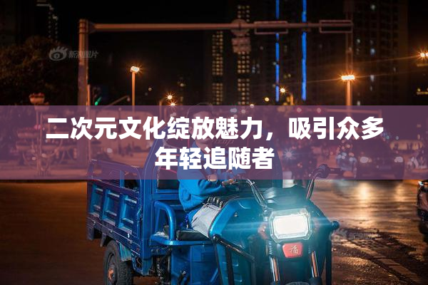 二次元文化绽放魅力，吸引众多年轻追随者