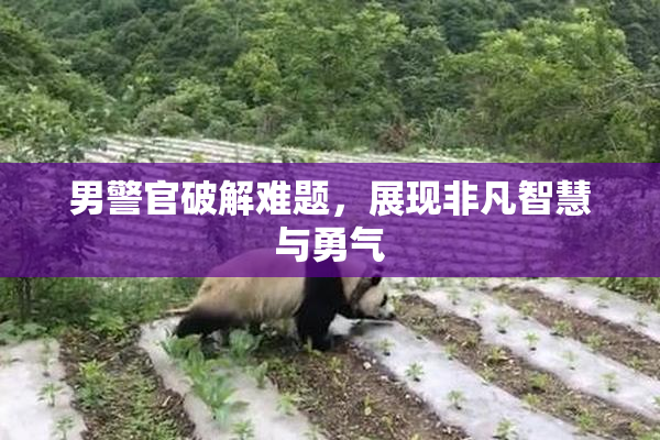 男警官破解难题，展现非凡智慧与勇气