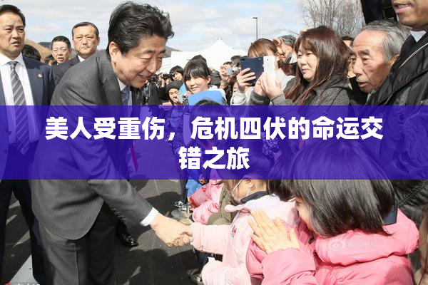 美人受重伤，危机四伏的命运交错之旅