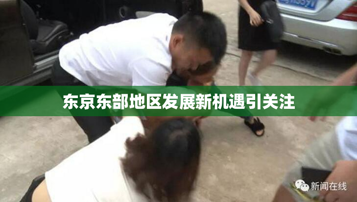 东京东部地区发展新机遇引关注