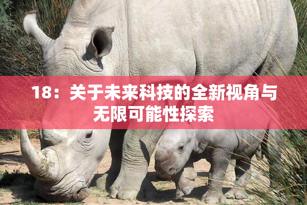 18：关于未来科技的全新视角与无限可能性探索