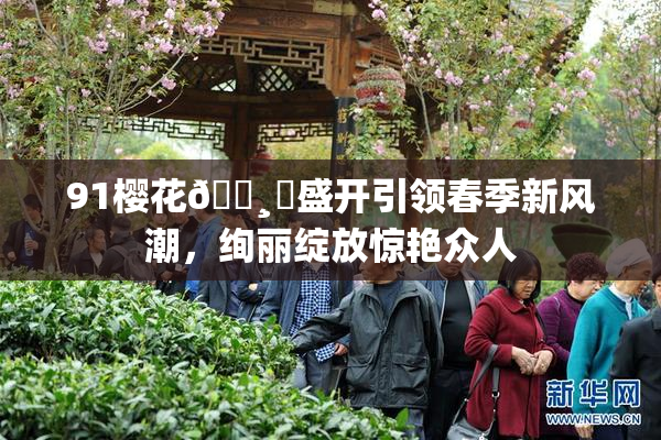 91樱花🌸‌盛开引领春季新风潮，绚丽绽放惊艳众人