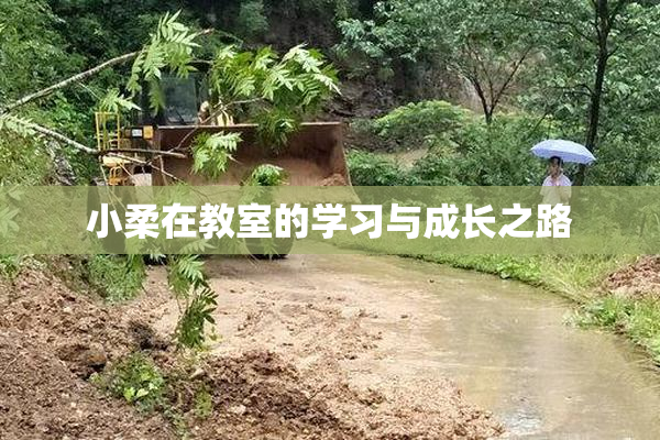 小柔在教室的学习与成长之路