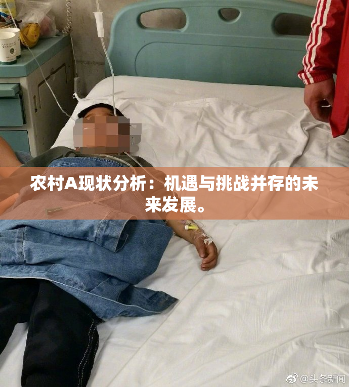 农村A现状分析：机遇与挑战并存的未来发展。