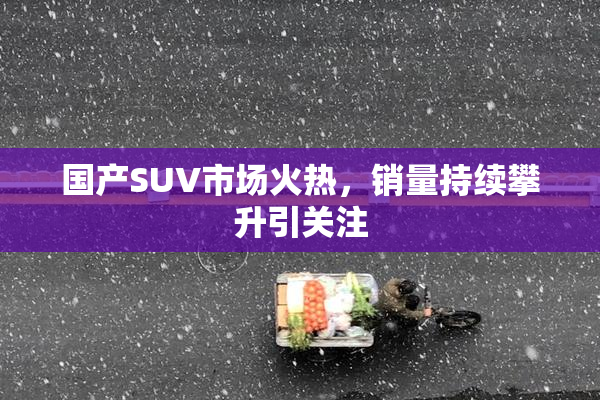 国产SUV市场火热，销量持续攀升引关注