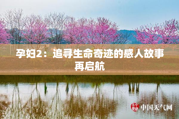 孕妇2：追寻生命奇迹的感人故事再启航