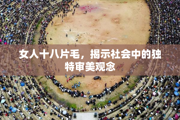女人十八片毛，揭示社会中的独特审美观念