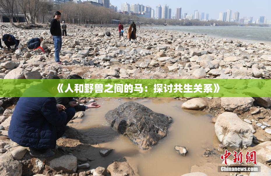 《人和野兽之间的马：探讨共生关系》