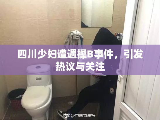 四川少妇遭遇搡B事件，引发热议与关注