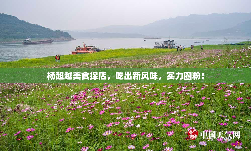 杨超越美食探店，吃出新风味，实力圈粉！