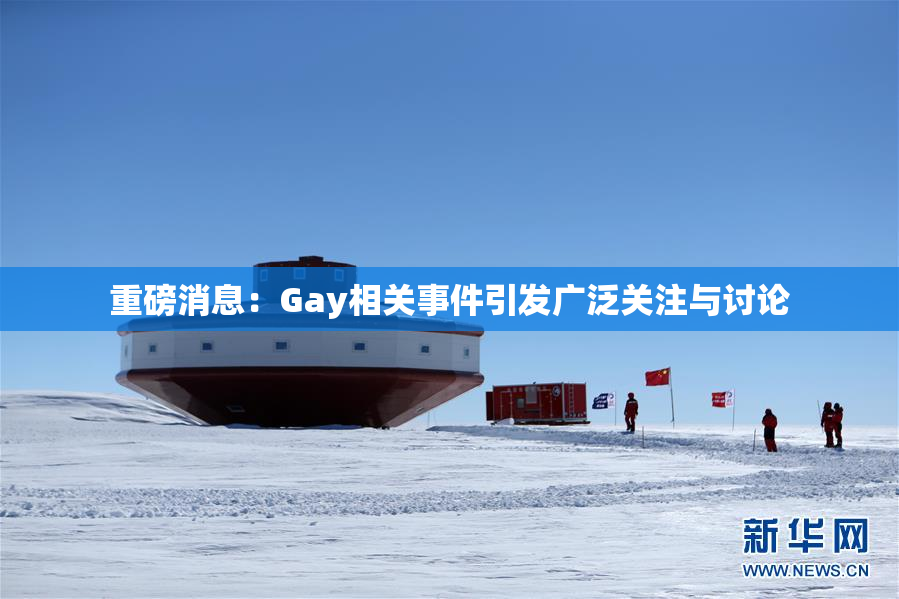 重磅消息：Gay相关事件引发广泛关注与讨论