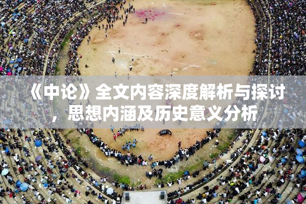 《中论》全文内容深度解析与探讨，思想内涵及历史意义分析