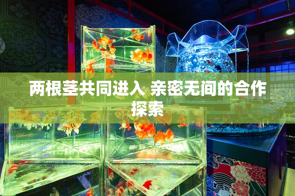 两根茎共同进入 亲密无间的合作探索