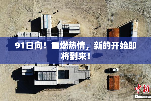 91日向！重燃热情，新的开始即将到来！
