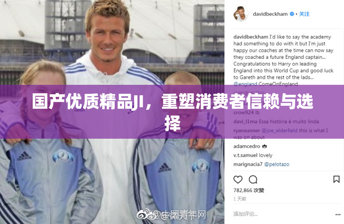 国产优质精品JI，重塑消费者信赖与选择