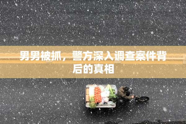 男男被抓，警方深入调查案件背后的真相