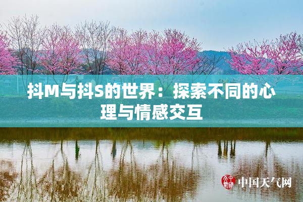 抖M与抖S的世界：探索不同的心理与情感交互