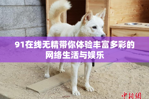 91在线无精带你体验丰富多彩的网络生活与娱乐