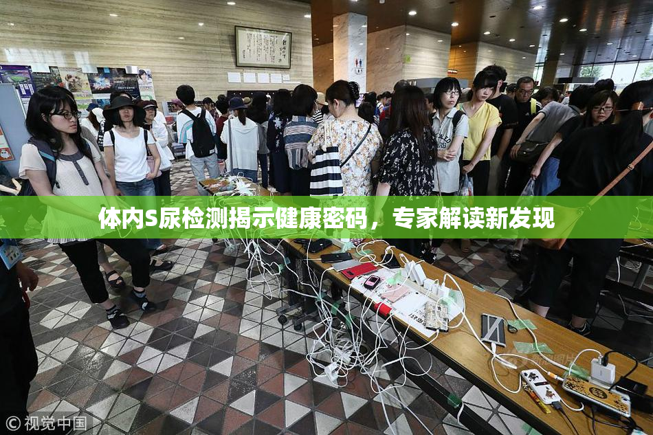 体内S尿检测揭示健康密码，专家解读新发现