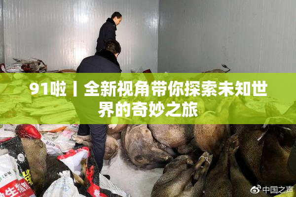 91啦丨全新视角带你探索未知世界的奇妙之旅