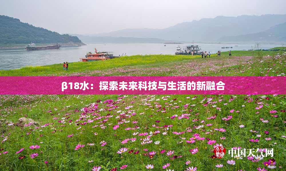 β18水：探索未来科技与生活的新融合