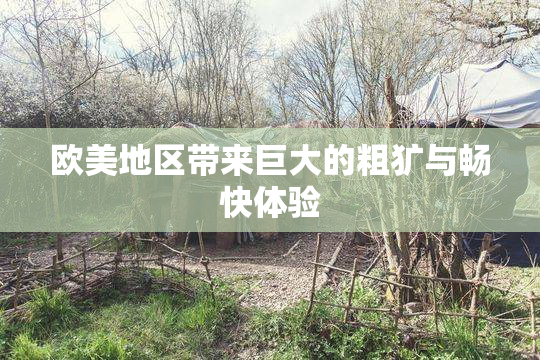 欧美地区带来巨大的粗犷与畅快体验