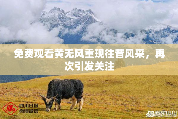 免费观看黄无风重现往昔风采，再次引发关注