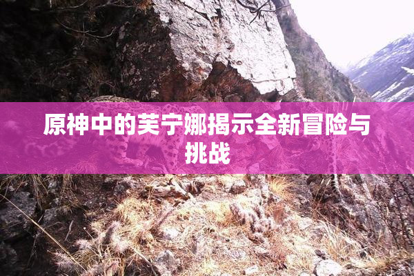 原神中的芙宁娜揭示全新冒险与挑战