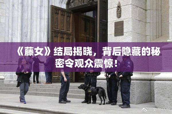 《藤女》结局揭晓，背后隐藏的秘密令观众震惊！