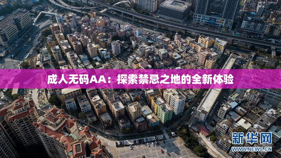 成人无码AA：探索禁忌之地的全新体验